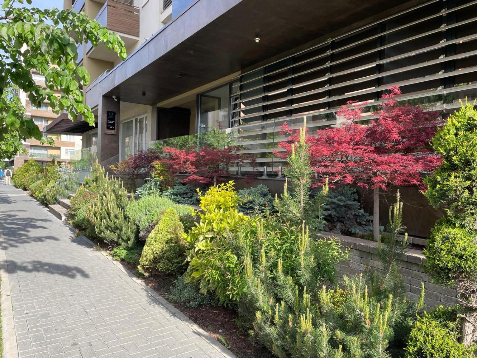 Alto Studio & Free Private Parking Braşov Eksteriør billede